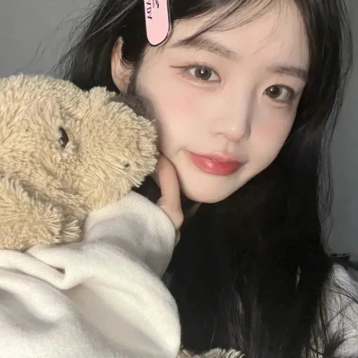监察局长